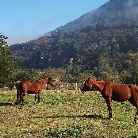 San Francisco Rural 2* Avalle