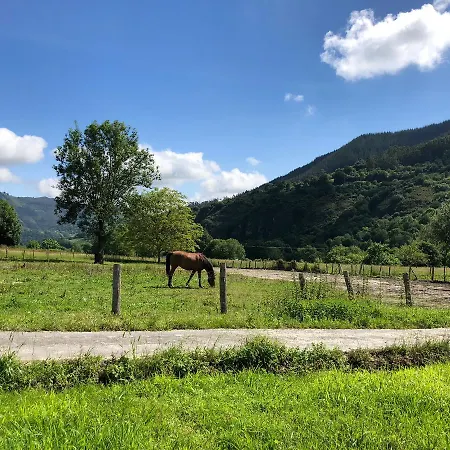 San Francisco Rural فندق