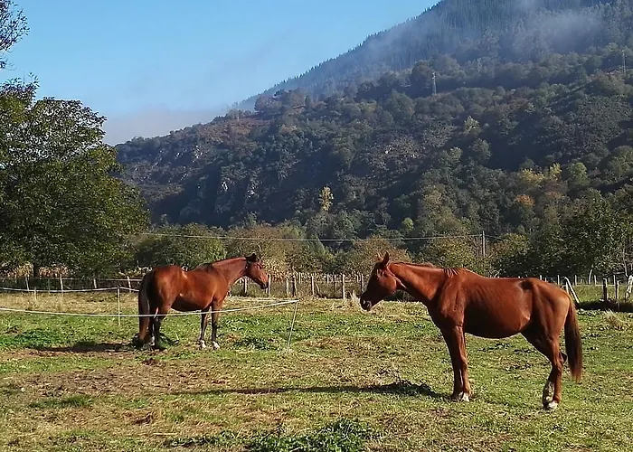 San Francisco Rural 2* Avalle