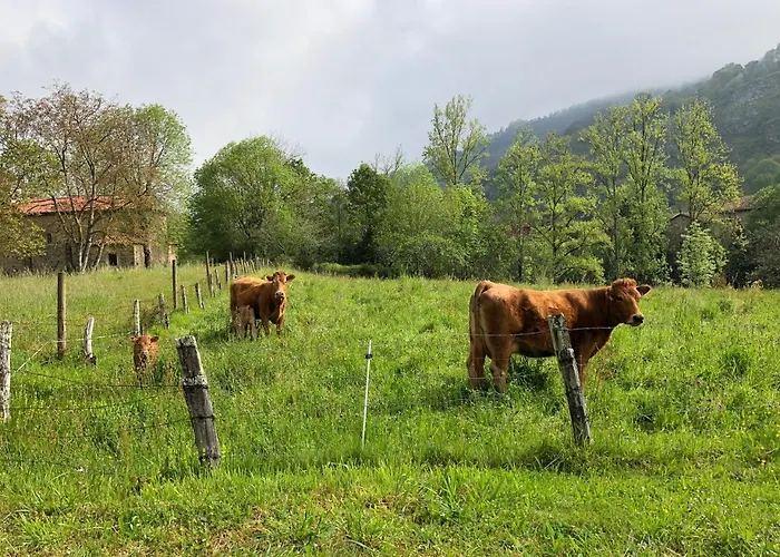 Hotel San Francisco Rural 2*